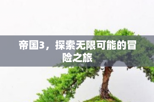帝国3，探索无限可能的冒险之旅