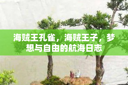海贼王孔雀，海贼王子，梦想与自由的航海日志