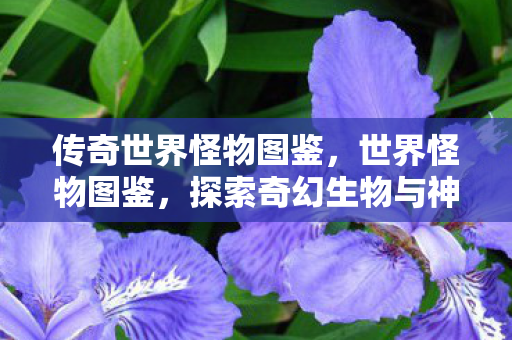 传奇世界怪物图鉴,世界怪物图鉴,探索奇幻生物与神秘生物的奇妙世界 传奇世界怪物图鉴,世界怪物图鉴,探索奇幻生物与神秘生物的奇妙世界