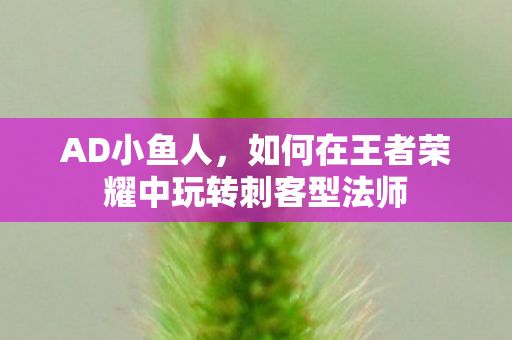 AD小鱼人，如何在王者荣耀中玩转刺客型法师