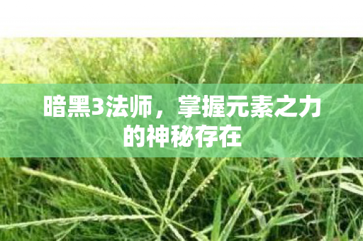暗黑3法师，掌握元素之力的神秘存在