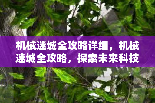 机械迷城全攻略详细，机械迷城全攻略，探索未来科技的奇妙世界
