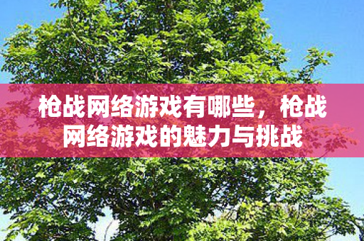 枪战网络游戏有哪些，枪战网络游戏的魅力与挑战