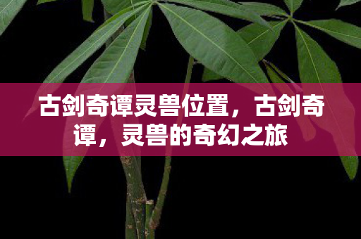 古剑奇谭灵兽位置，古剑奇谭，灵兽的奇幻之旅