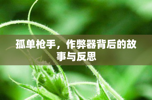 孤单枪手，作弊器背后的故事与反思