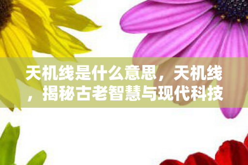 天机线是什么意思，天机线，揭秘古老智慧与现代科技的交汇点