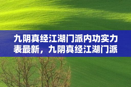 九阴真经江湖门派内功实力表最新,九阴真经江湖门派,探寻武侠世界的奥秘 九阴真经江湖门派内功实力表最新,九阴真经江湖门派,探寻武侠世界的奥秘