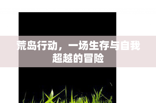 荒岛行动,一场生存与自我超越的冒险 荒岛行动,一场生存与自我超越的冒险