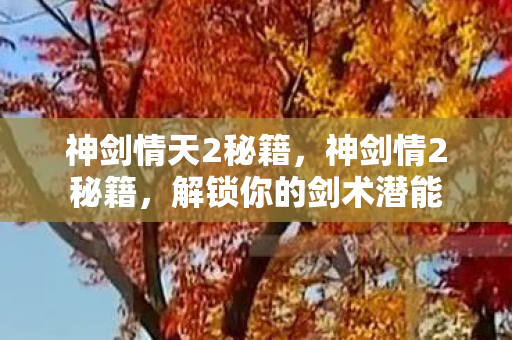 神剑情天2秘籍，神剑情2秘籍，解锁你的剑术潜能