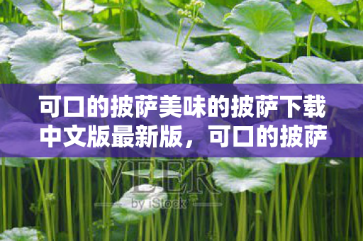 可口的披萨美味的披萨下载中文版最新版，可口的披萨美味的披萨下载中文版