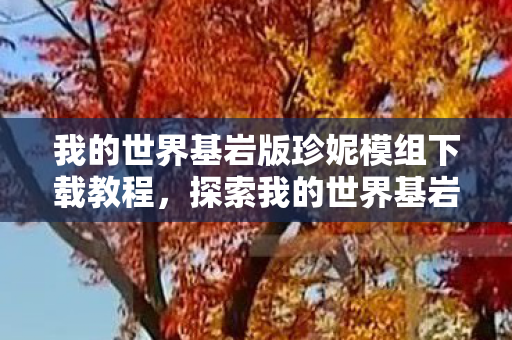 我的世界基岩版珍妮模组下载教程,探索我的世界基岩版,珍妮模组下载与体验指南 我的世界基岩版珍妮模组下载教程,探索我的世界基岩版,珍妮模组下载与体验指南