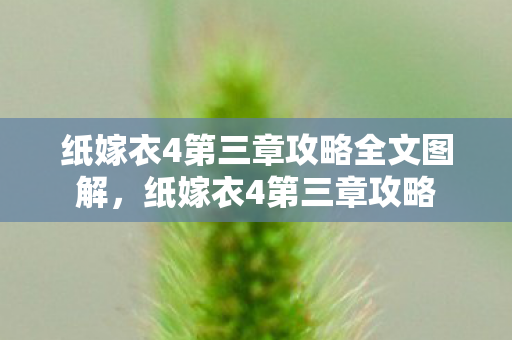 纸嫁衣4第三章攻略全文图解，纸嫁衣4第三章攻略