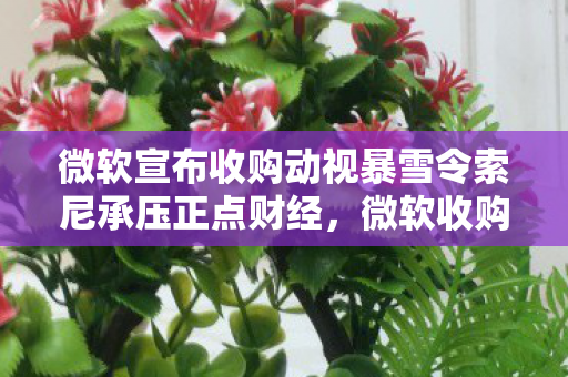 微软宣布收购动视暴雪令索尼承压正点财经，微软收购动视暴雪，游戏产业的新篇章