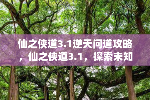 仙之侠道3.1逆天问道攻略，仙之侠道3.1，探索未知，重塑经典