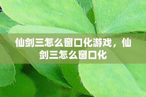 仙剑三怎么窗口化游戏,仙剑三怎么窗口化 仙剑三怎么窗口化游戏,仙剑三怎么窗口化