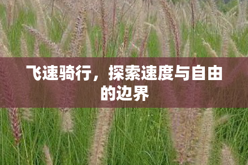 飞速骑行，探索速度与自由的边界