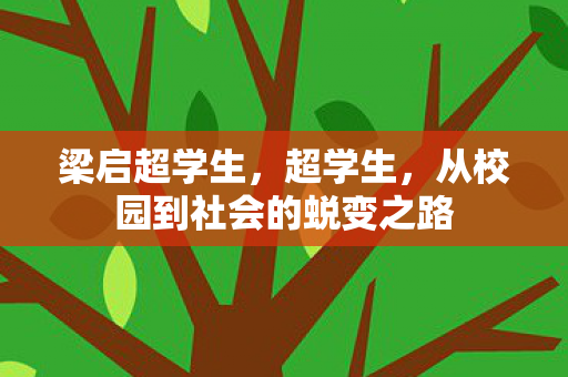 梁启超学生，超学生，从校园到社会的蜕变之路