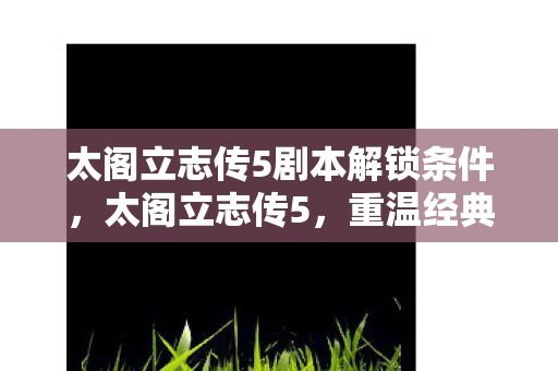 太阁立志传5剧本解锁条件，太阁立志传5，重温经典，探索日本战国时代的风云变幻