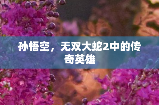 孙悟空，无双大蛇2中的传奇英雄