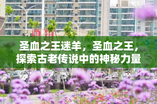 圣血之王迷羊，圣血之王，探索古老传说中的神秘力量