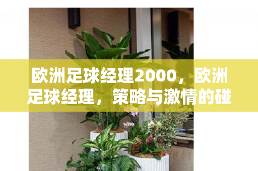 欧洲足球经理2000，欧洲足球经理，策略与激情的碰撞