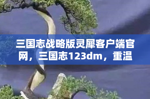 三国志战略版灵犀客户端官网，三国志123dm，重温经典，探索历史长河中的智慧与勇气