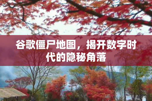 谷歌僵尸地图，揭开数字时代的隐秘角落