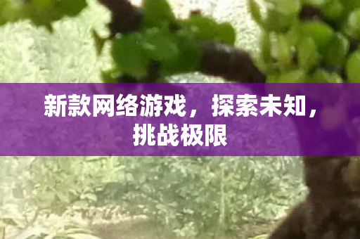 新款网络游戏，探索未知，挑战极限