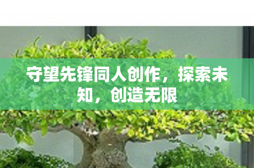 守望先锋同人创作，探索未知，创造无限