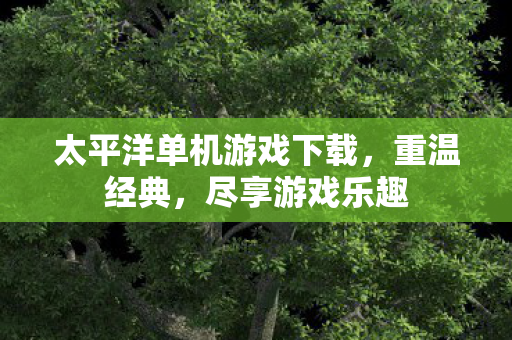 太平洋单机游戏下载，重温经典，尽享游戏乐趣