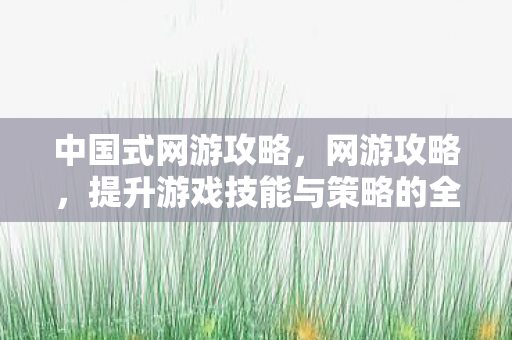 中国式网游攻略，网游攻略，提升游戏技能与策略的全面指南