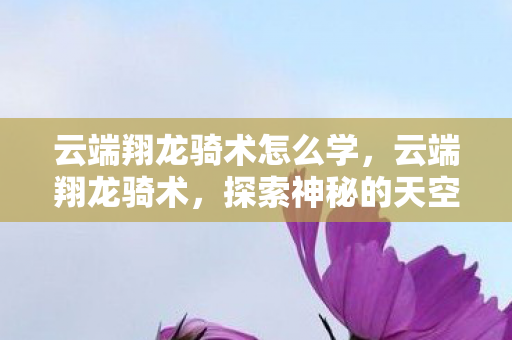 云端翔龙骑术怎么学，云端翔龙骑术，探索神秘的天空之旅