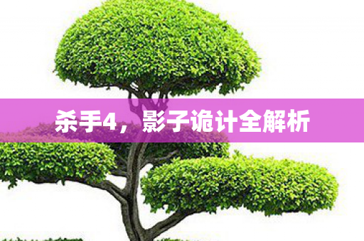 杀手4，影子诡计全解析