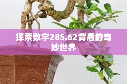 探索数字285.62背后的奇妙世界