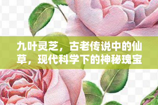 九叶灵芝，古老传说中的仙草，现代科学下的神秘瑰宝