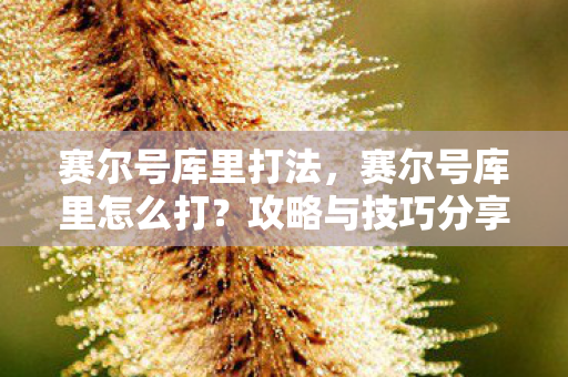 赛尔号库里打法，赛尔号库里怎么打？攻略与技巧分享