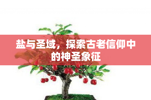 盐与圣域，探索古老信仰中的神圣象征