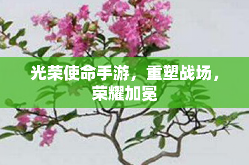 光荣使命手游，重塑战场，荣耀加冕