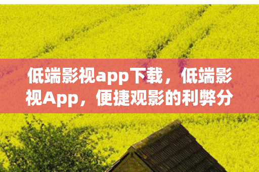 低端影视app下载，低端影视App，便捷观影的利弊分析