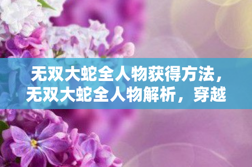 无双大蛇全人物获得方法，无双大蛇全人物解析，穿越时空的终极战斗盛宴
