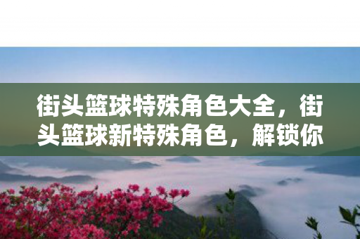 街头篮球特殊角色大全，街头篮球新特殊角色，解锁你的篮球新篇章
