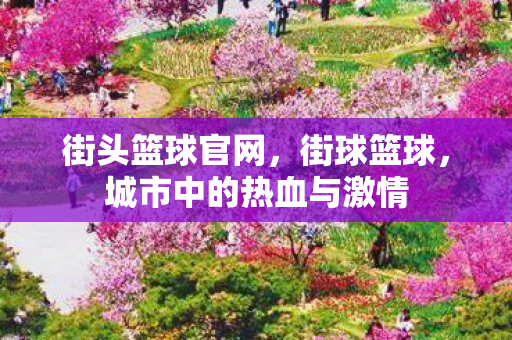 街头篮球官网，街球篮球，城市中的热血与激情