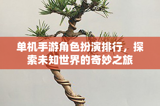 单机手游角色扮演排行，探索未知世界的奇妙之旅