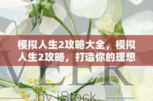 模拟人生2攻略大全，模拟人生2攻略，打造你的理想生活