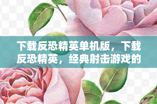 下载反恐精英单机版，下载反恐精英，经典射击游戏的魅力与回忆
