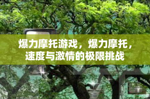 爆力摩托游戏，爆力摩托，速度与激情的极限挑战