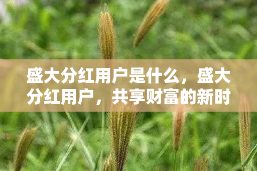 盛大分红用户是什么，盛大分红用户，共享财富的新时代