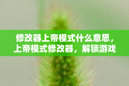 修改器上帝模式什么意思,上帝模式修改器,解锁游戏世界的无限可能 修改器上帝模式什么意思,上帝模式修改器,解锁游戏世界的无限可能
