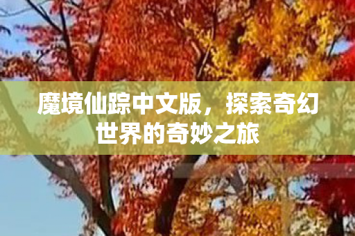 魔境仙踪中文版，探索奇幻世界的奇妙之旅