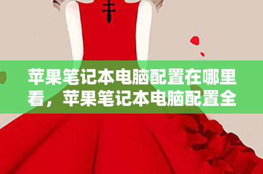 苹果笔记本电脑配置在哪里看，苹果笔记本电脑配置全解析，从入门到专业，你需要的全在这里